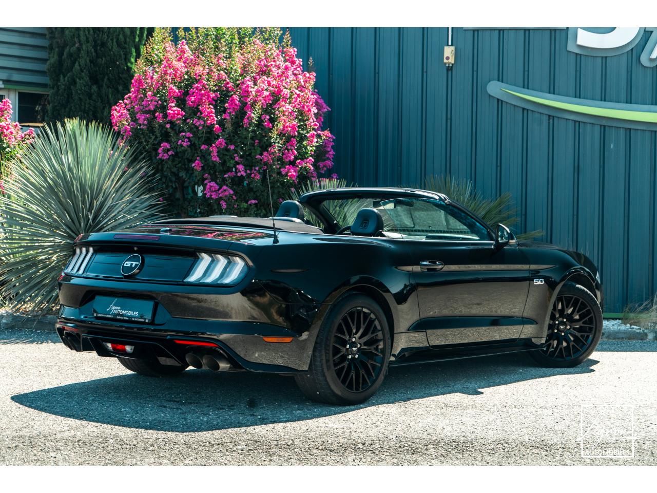 Photo FORD MUSTANG Cabriolet 5.0 V8 - 450 - BVA10  GT - 1er Main Origine France - Malus Payé - 3 000 km !!
