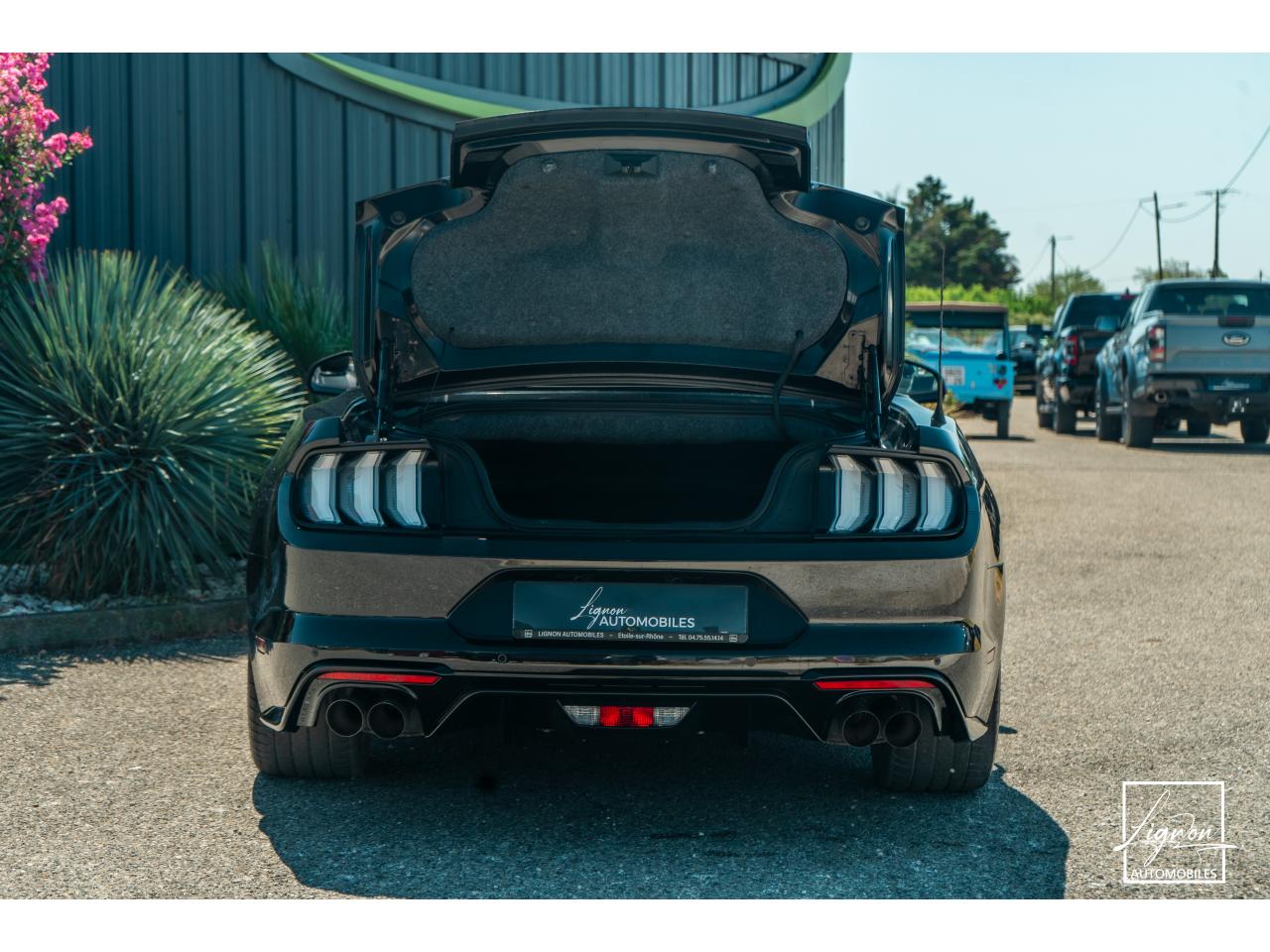 Photo FORD MUSTANG Cabriolet 5.0 V8 - 450 - BVA10  GT - 1er Main Origine France - Malus Payé - 3 000 km !!