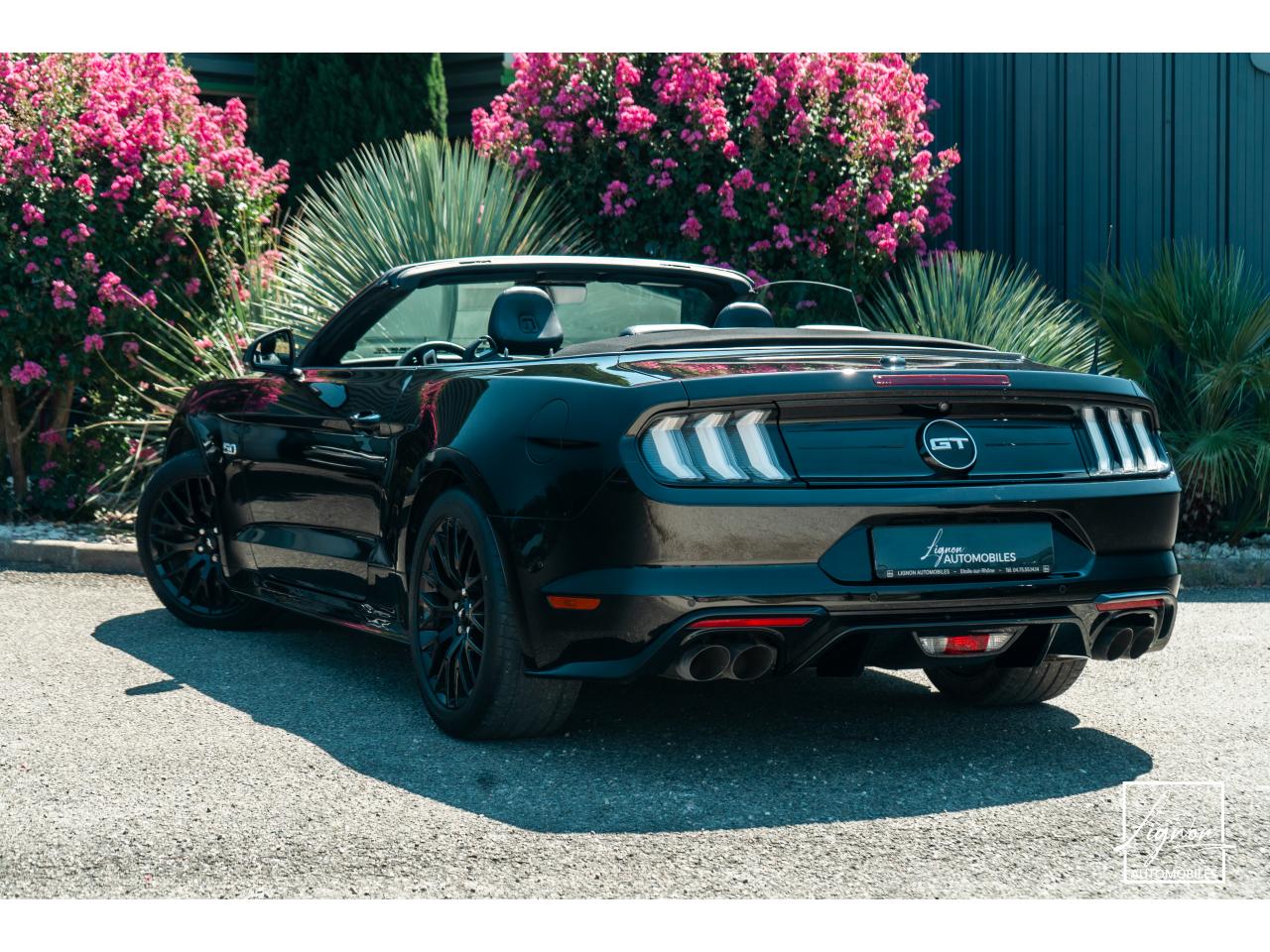 Photo FORD MUSTANG Cabriolet 5.0 V8 - 450 - BVA10  GT - 1er Main Origine France - Malus Payé - 3 000 km !!