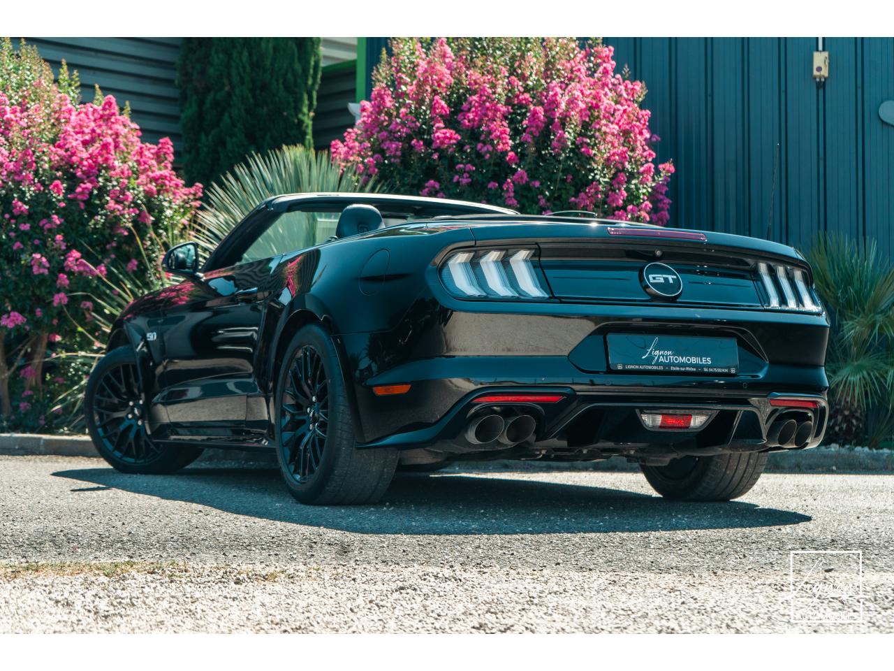 Photo FORD MUSTANG Cabriolet 5.0 V8 - 450 - BVA10  GT - 1er Main Origine France - Malus Payé - 3 000 km !!