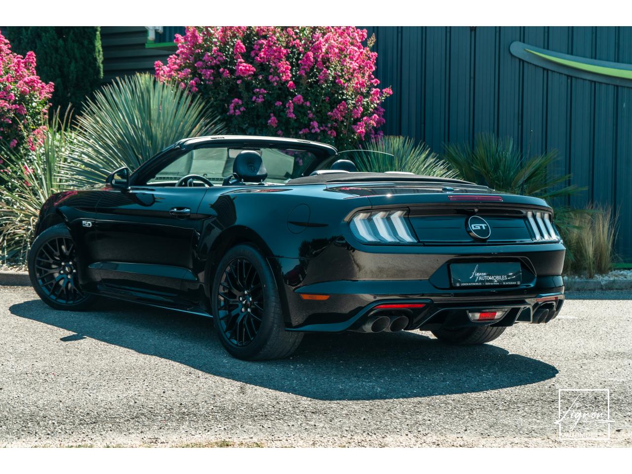 Photo FORD MUSTANG Cabriolet 5.0 V8 - 450 - BVA10  GT - 1er Main Origine France - Malus Payé - 3 000 km !!