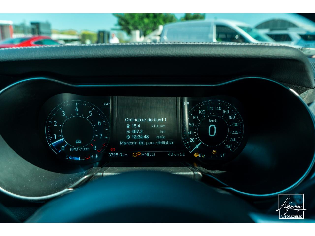 Photo FORD MUSTANG Cabriolet 5.0 V8 - 450 - BVA10  GT - 1er Main Origine France - Malus Payé - 3 000 km !!