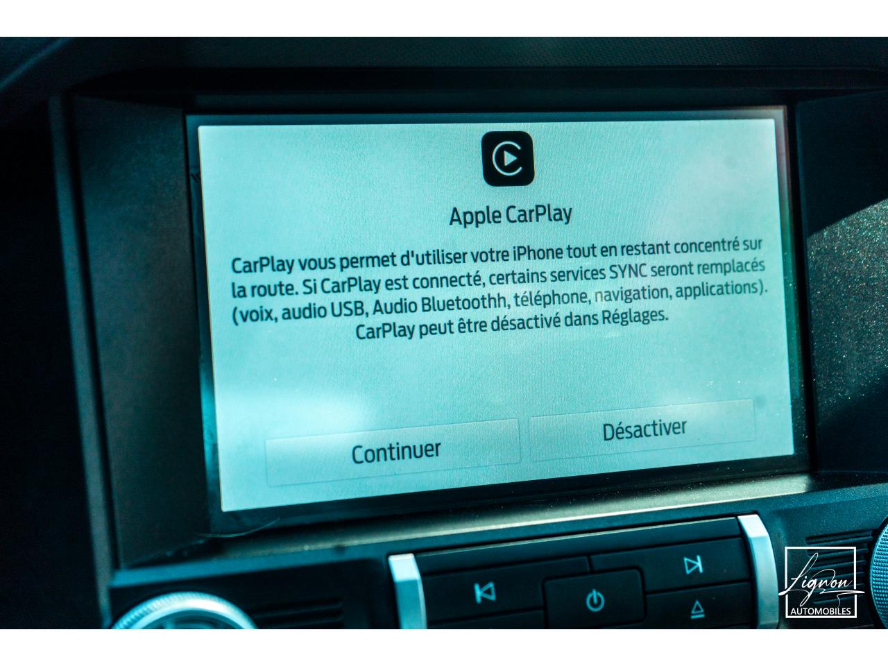 Photo FORD MUSTANG Cabriolet 5.0 V8 - 450 - BVA10  GT - 1er Main Origine France - Malus Payé - 3 000 km !!