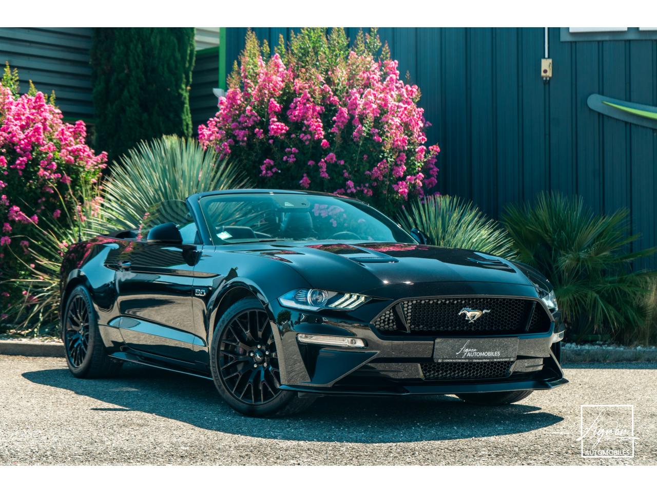 Photo FORD MUSTANG Cabriolet 5.0 V8 - 450 - BVA10  GT - 1er Main Origine France - Malus Payé - 3 000 km !!