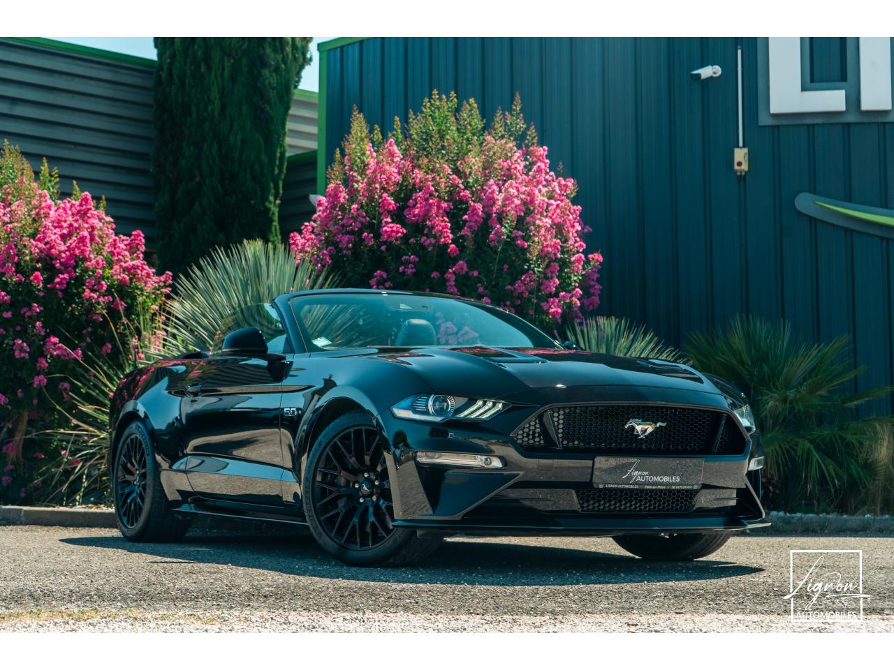 Photo FORD MUSTANG Cabriolet 5.0 V8 - 450 - BVA10  GT - 1er Main Origine France - Malus Payé - 3 000 km !!
