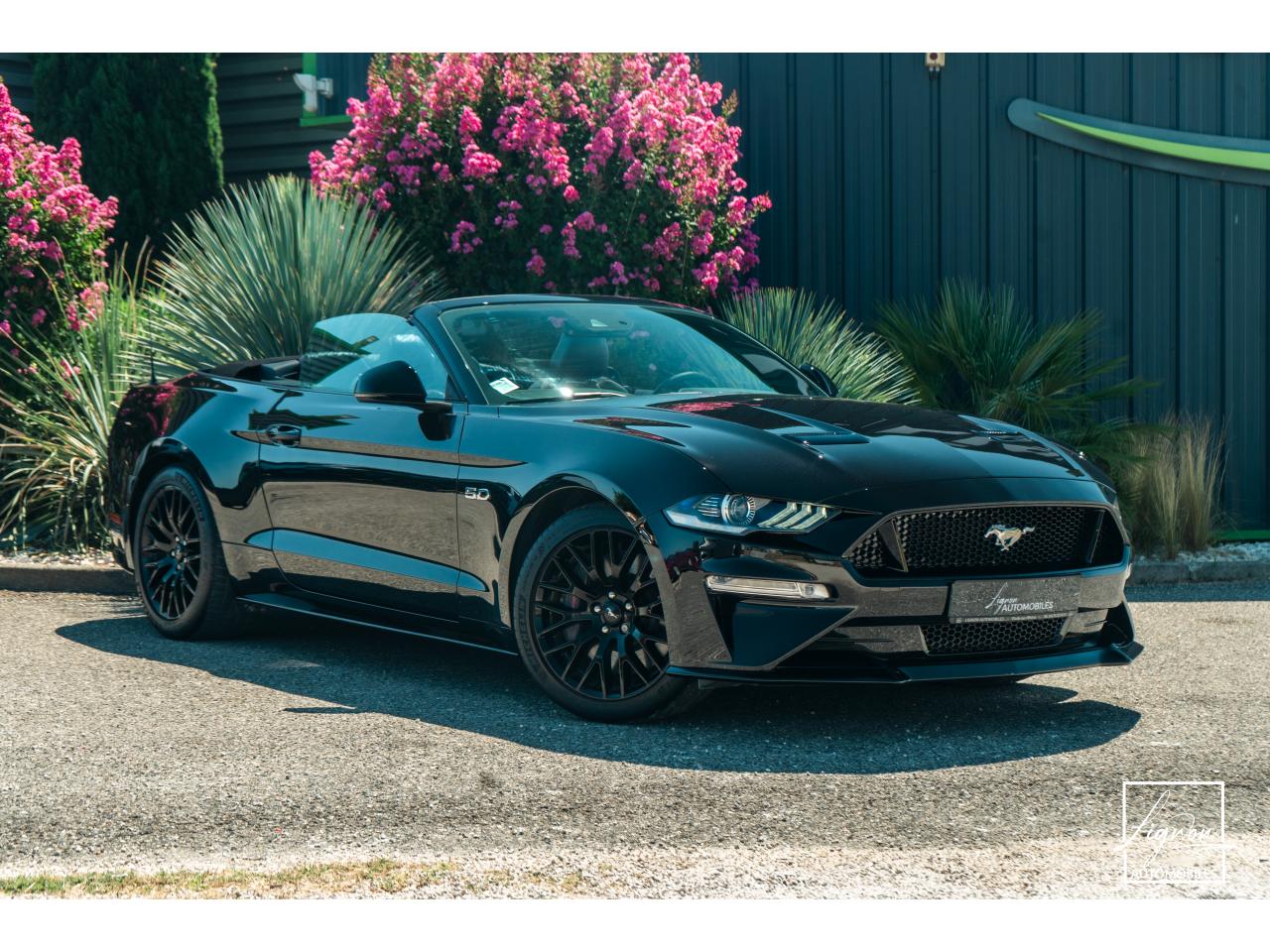 Photo FORD MUSTANG Cabriolet 5.0 V8 - 450 - BVA10  GT - 1er Main Origine France - Malus Payé - 3 000 km !!