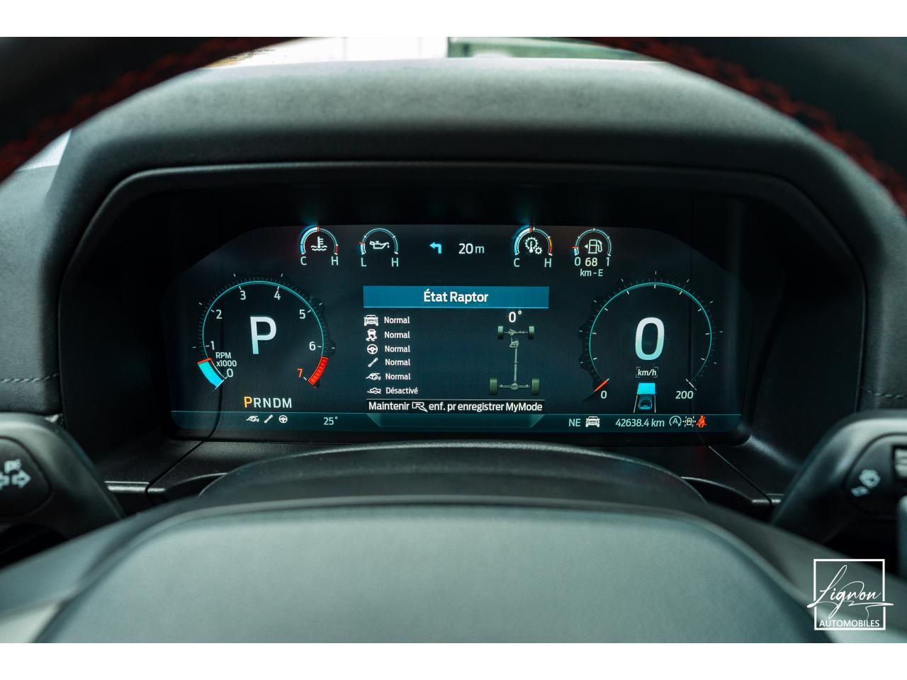 Photo FORD RANGER Raptor 3.0 V6 EcoBoost - 292 - BVA10 Double Cabine - TVA Apparente - à partir de 561 euros
