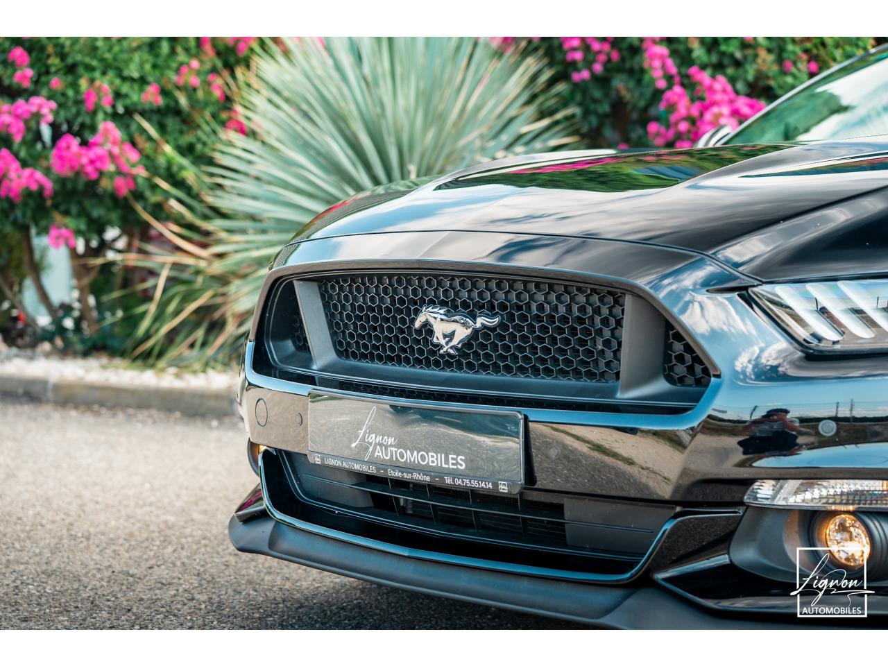 Photo FORD MUSTANG Cabriolet 5.0 V8 - 421 - BVA  GT - Echappement Sport - à partir de 581 euros