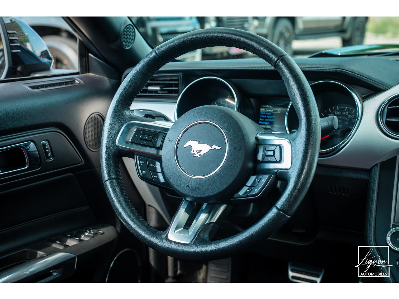 Photo FORD MUSTANG Cabriolet 5.0 V8 - 421 - BVA  GT - Echappement Sport - à partir de 581 euros
