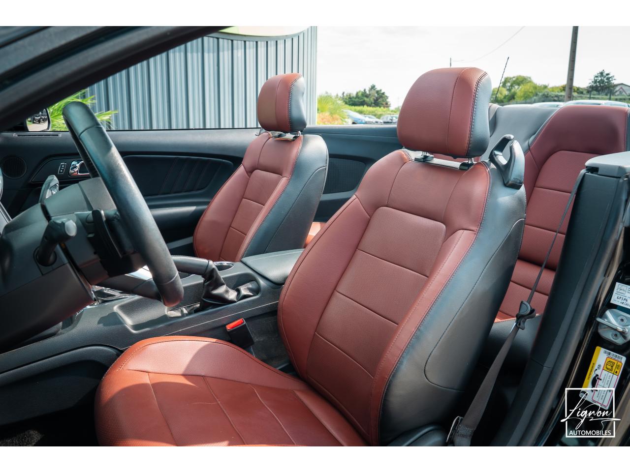 Photo FORD MUSTANG Cabriolet 5.0 V8 - 421 - BVA  GT - Echappement Sport - à partir de 581 euros