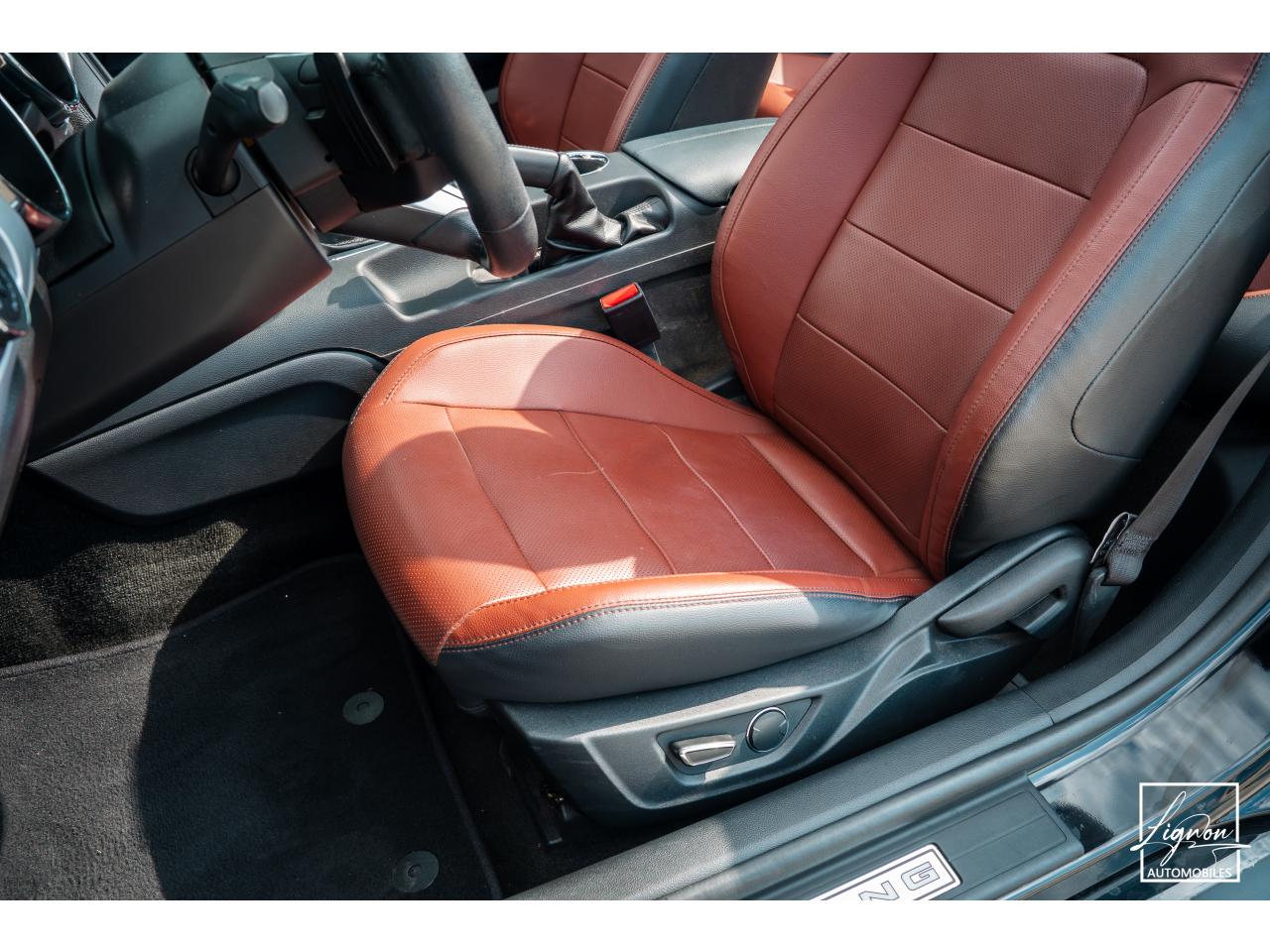Photo FORD MUSTANG Cabriolet 5.0 V8 - 421 - BVA  GT - Echappement Sport - à partir de 581 euros