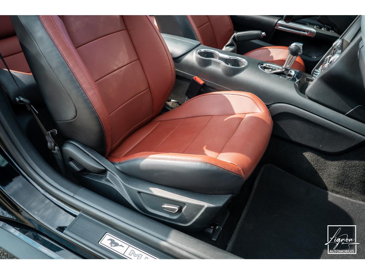 Photo FORD MUSTANG Cabriolet 5.0 V8 - 421 - BVA  GT - Echappement Sport - à partir de 581 euros