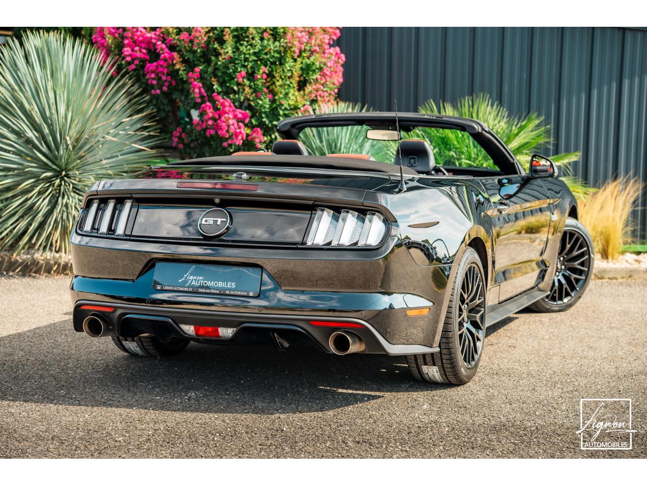 Photo FORD MUSTANG Cabriolet 5.0 V8 - 421 - BVA  GT - Echappement Sport - à partir de 581 euros