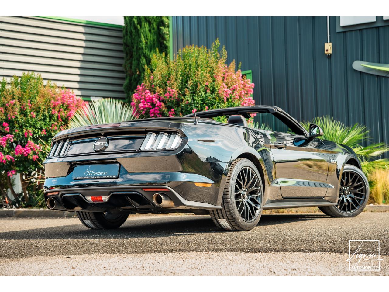 Photo FORD MUSTANG Cabriolet 5.0 V8 - 421 - BVA  GT - Echappement Sport - à partir de 581 euros