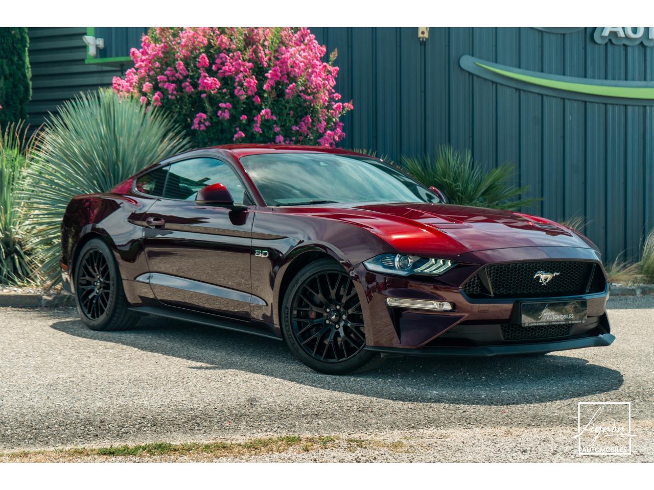 Photo FORD MUSTANG Fastback 5.0 V8 450 - BVA10  GT