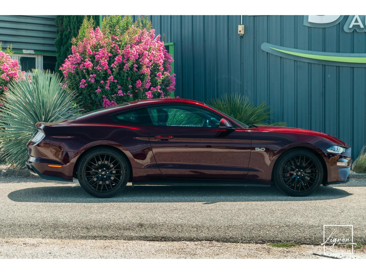 Photo FORD MUSTANG Fastback 5.0 V8 450 - BVA10  GT