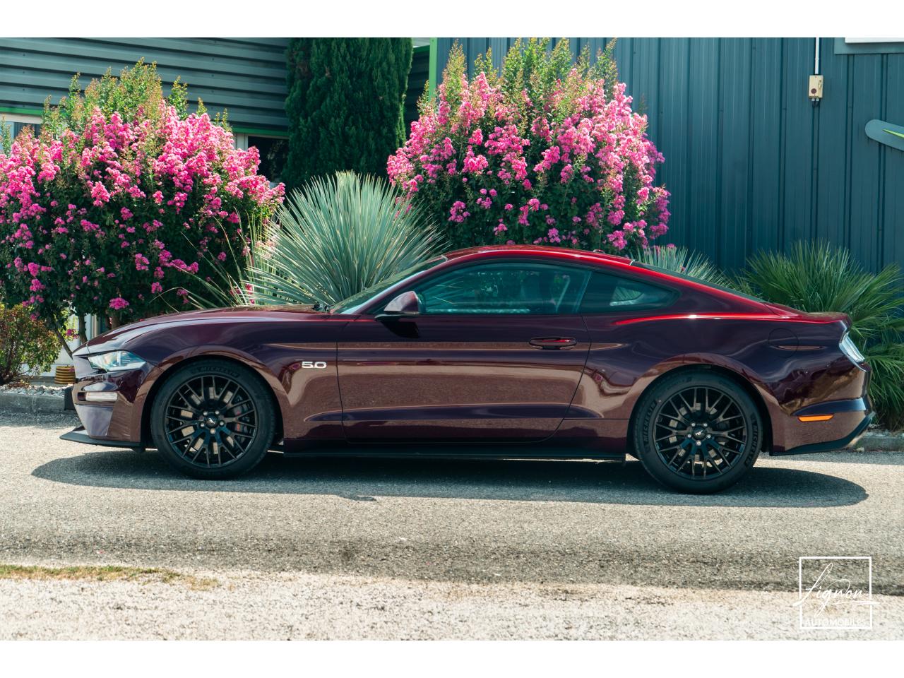 Photo FORD MUSTANG Fastback 5.0 V8 450 - BVA10  GT
