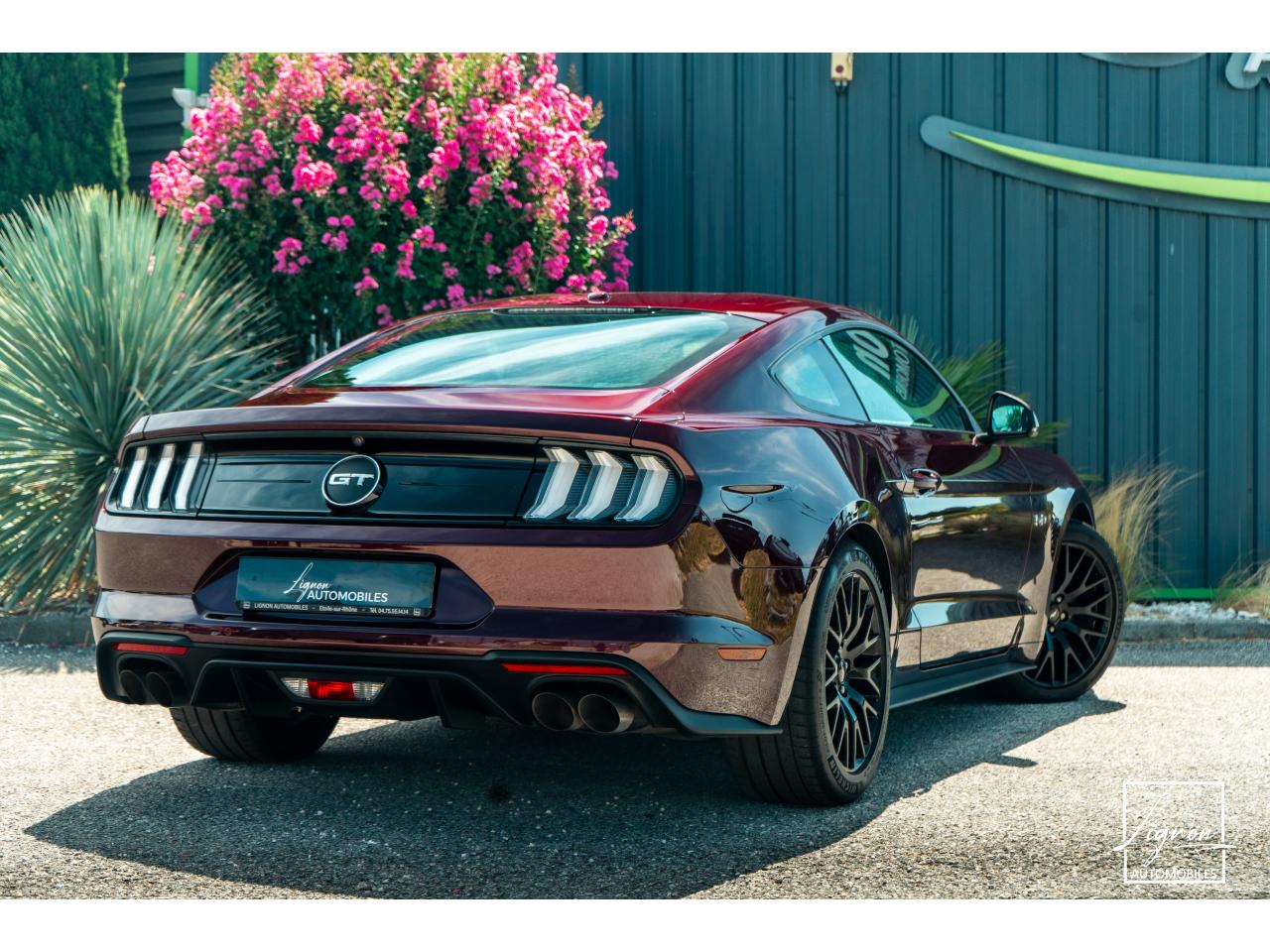 Photo FORD MUSTANG Fastback 5.0 V8 450 - BVA10  GT