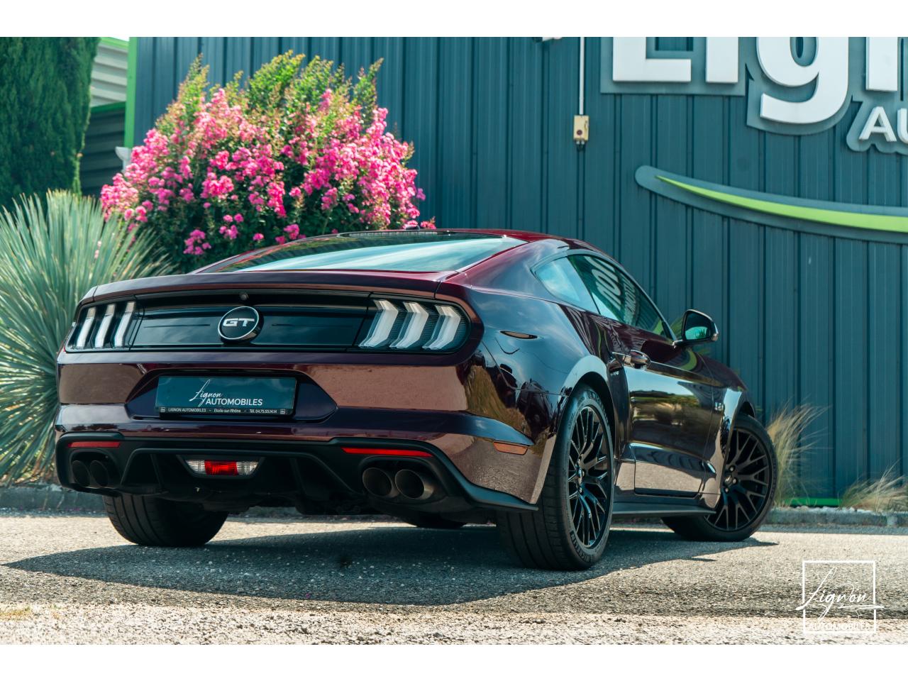 Photo FORD MUSTANG Fastback 5.0 V8 450 - BVA10  GT