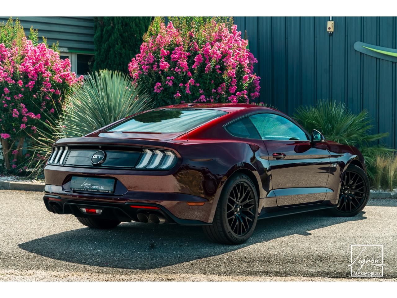 Photo FORD MUSTANG Fastback 5.0 V8 450 - BVA10  GT