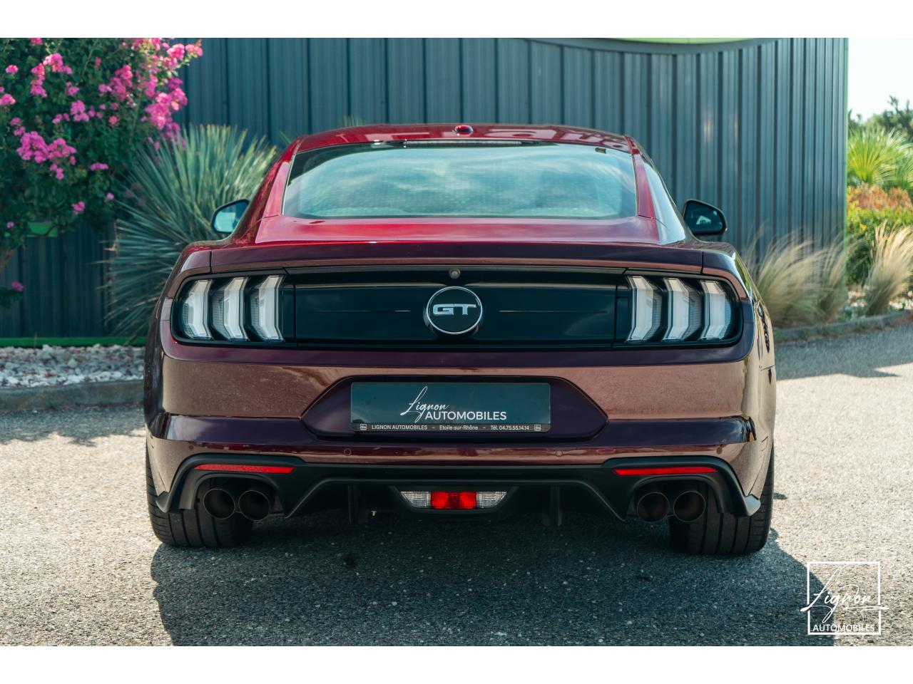 Photo FORD MUSTANG Fastback 5.0 V8 450 - BVA10  GT