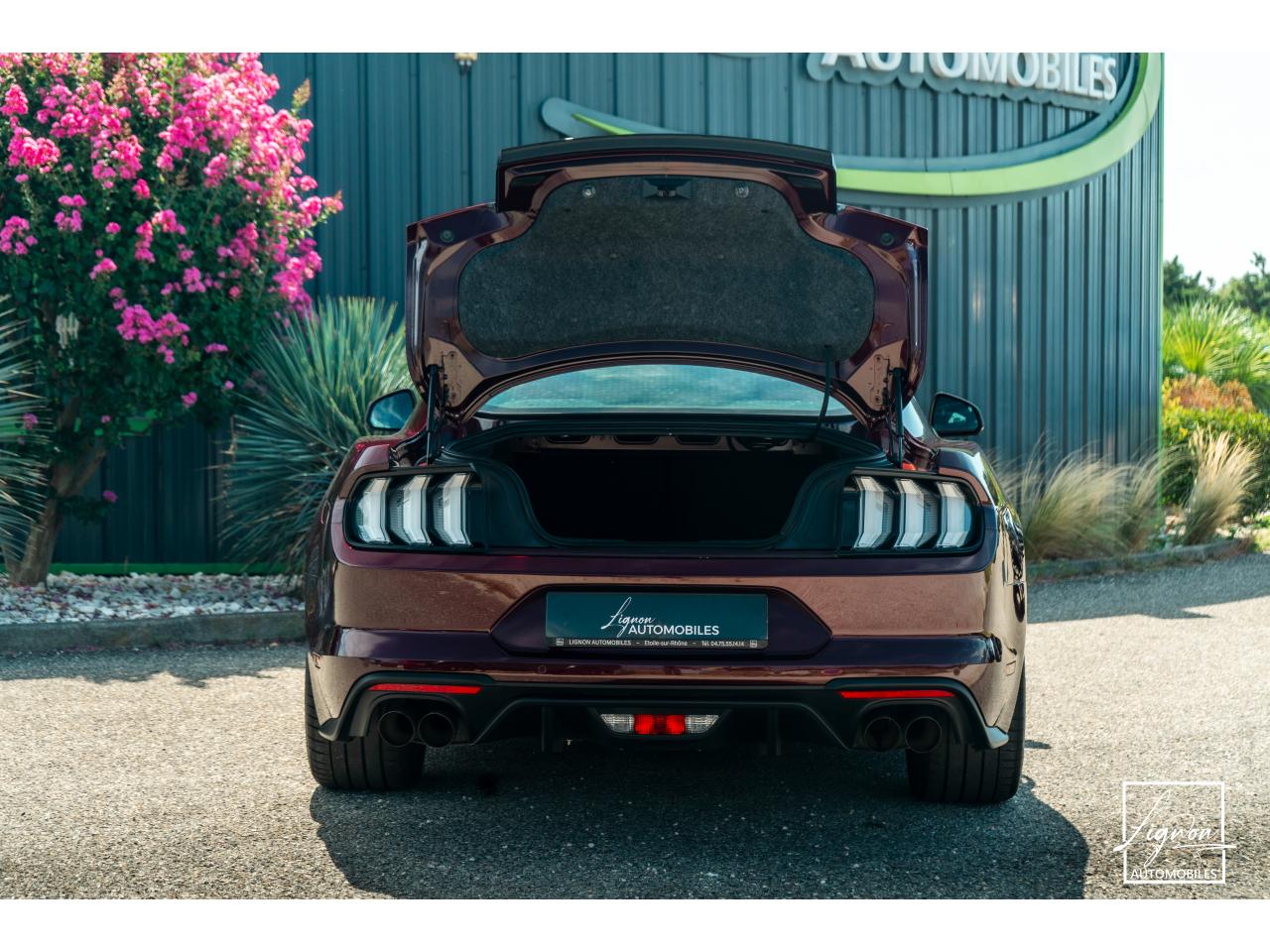 Photo FORD MUSTANG Fastback 5.0 V8 450 - BVA10  GT