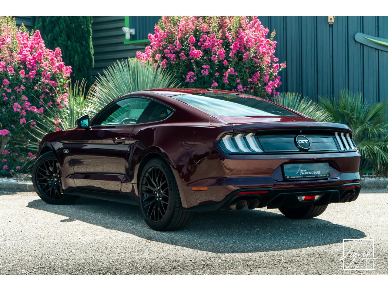 Photo FORD MUSTANG Fastback 5.0 V8 450 - BVA10  GT