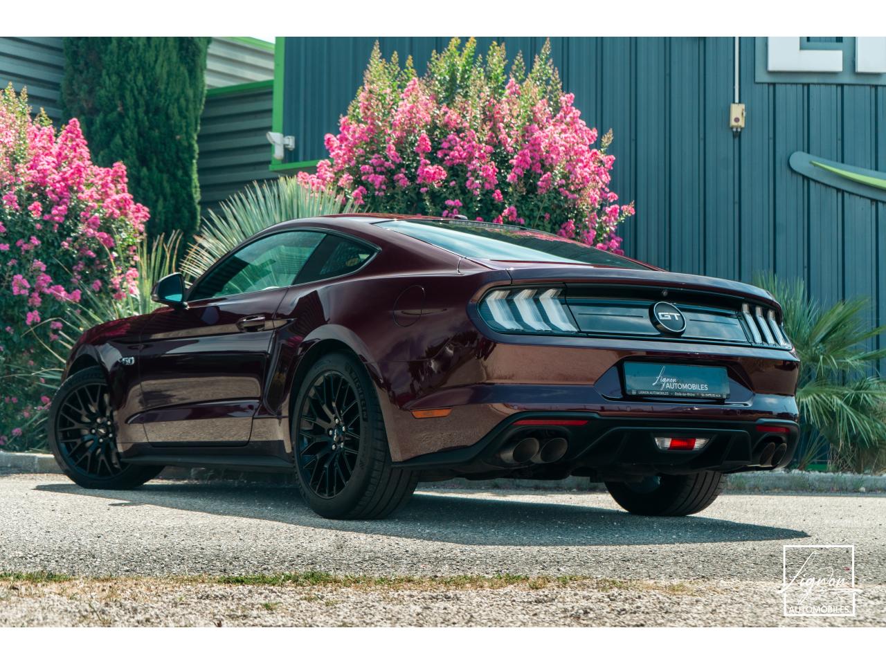 Photo FORD MUSTANG Fastback 5.0 V8 450 - BVA10  GT
