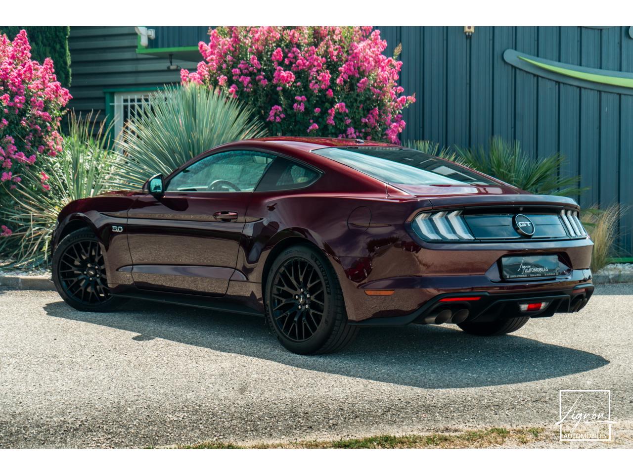 Photo FORD MUSTANG Fastback 5.0 V8 450 - BVA10  GT