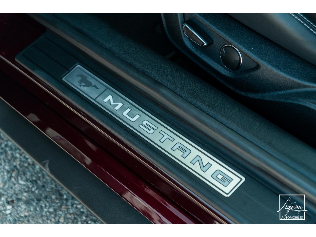 Photo FORD MUSTANG Fastback 5.0 V8 450 - BVA10  GT