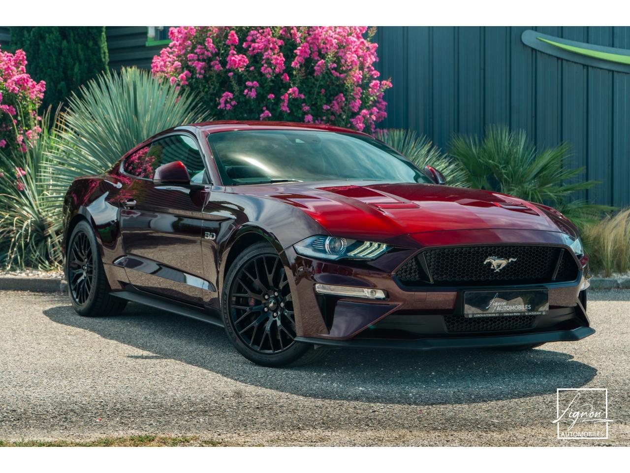 Photo FORD MUSTANG Fastback 5.0 V8 450 - BVA10  GT