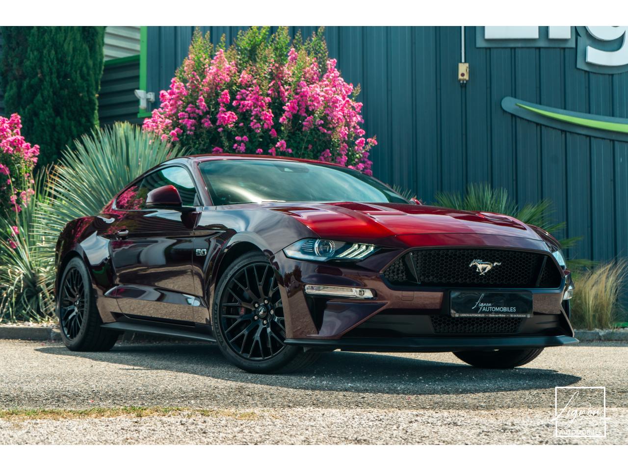 Photo FORD MUSTANG Fastback 5.0 V8 450 - BVA10  GT