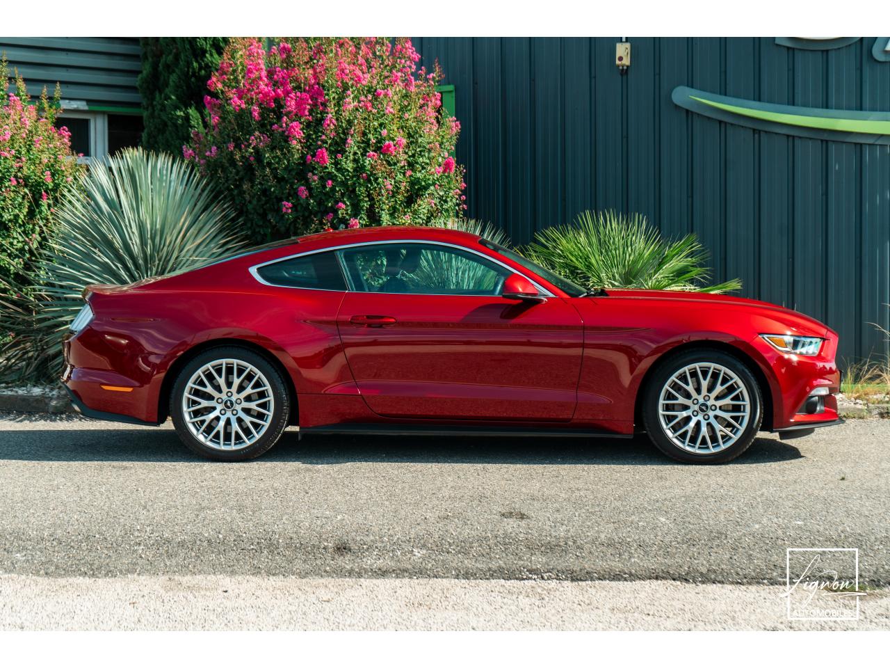 Photo FORD MUSTANG Fastback 2.3 EcoBoost - 317  2017 - Coupé - APPLE CARPLAY - PACK PREMIUM - à partir de 448 euros