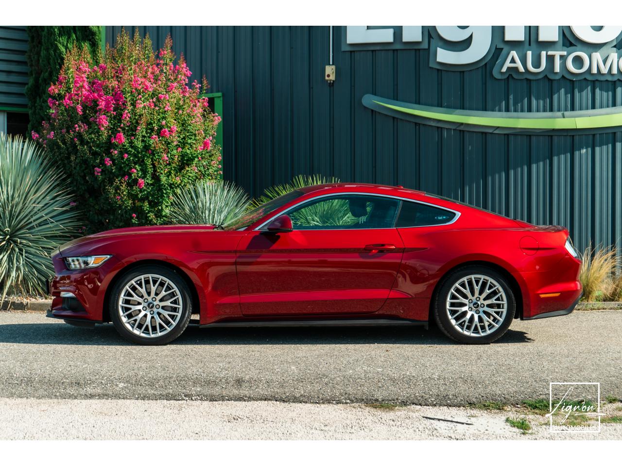 Photo FORD MUSTANG Fastback 2.3 EcoBoost - 317  2017 - Coupé - APPLE CARPLAY - PACK PREMIUM - à partir de 448 euros