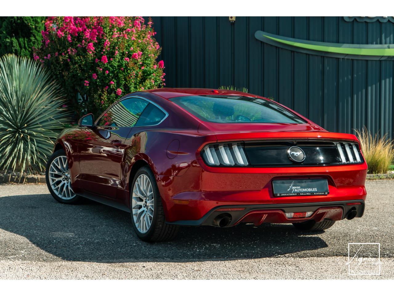 Photo FORD MUSTANG Fastback 2.3 EcoBoost - 317  2017 - Coupé - APPLE CARPLAY - PACK PREMIUM - à partir de 448 euros