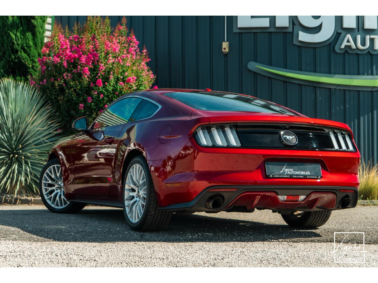 Photo FORD MUSTANG Fastback 2.3 EcoBoost - 317  2017 - Coupé - APPLE CARPLAY - PACK PREMIUM - à partir de 448 euros