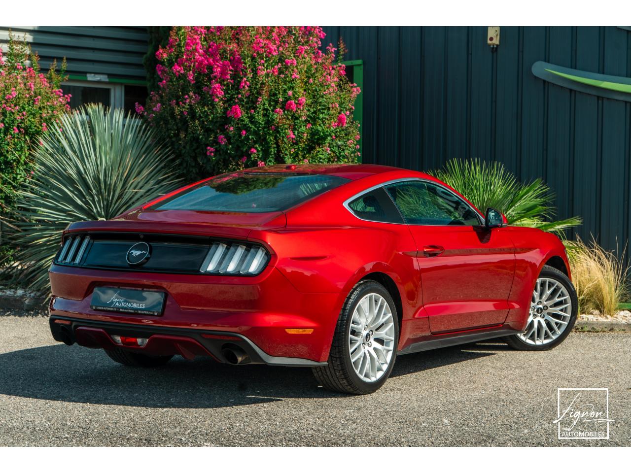Photo FORD MUSTANG Fastback 2.3 EcoBoost - 317  2017 - Coupé - APPLE CARPLAY - PACK PREMIUM - à partir de 448 euros