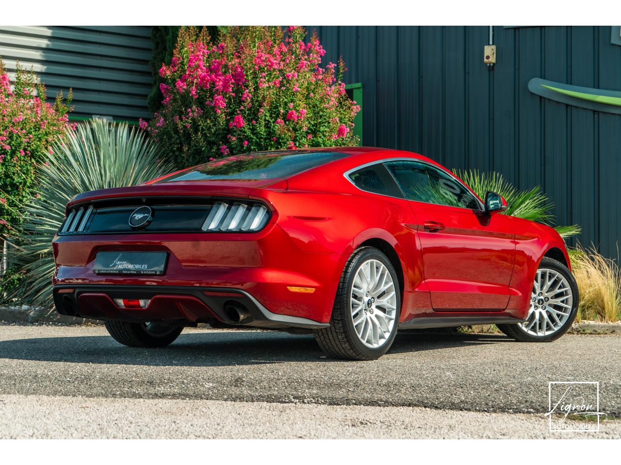 Photo FORD MUSTANG Fastback 2.3 EcoBoost - 317  2017 - Coupé - APPLE CARPLAY - PACK PREMIUM - à partir de 448 euros