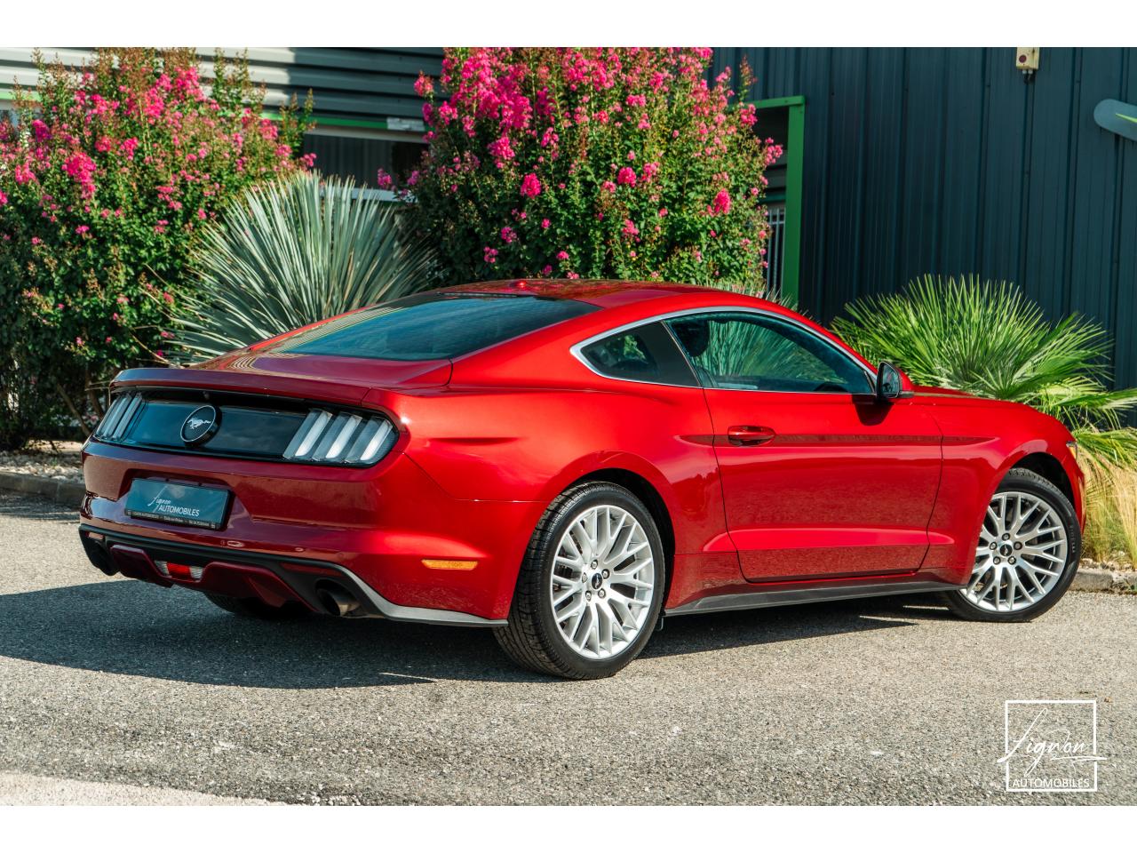 Photo FORD MUSTANG Fastback 2.3 EcoBoost - 317  2017 - Coupé - APPLE CARPLAY - PACK PREMIUM - à partir de 448 euros