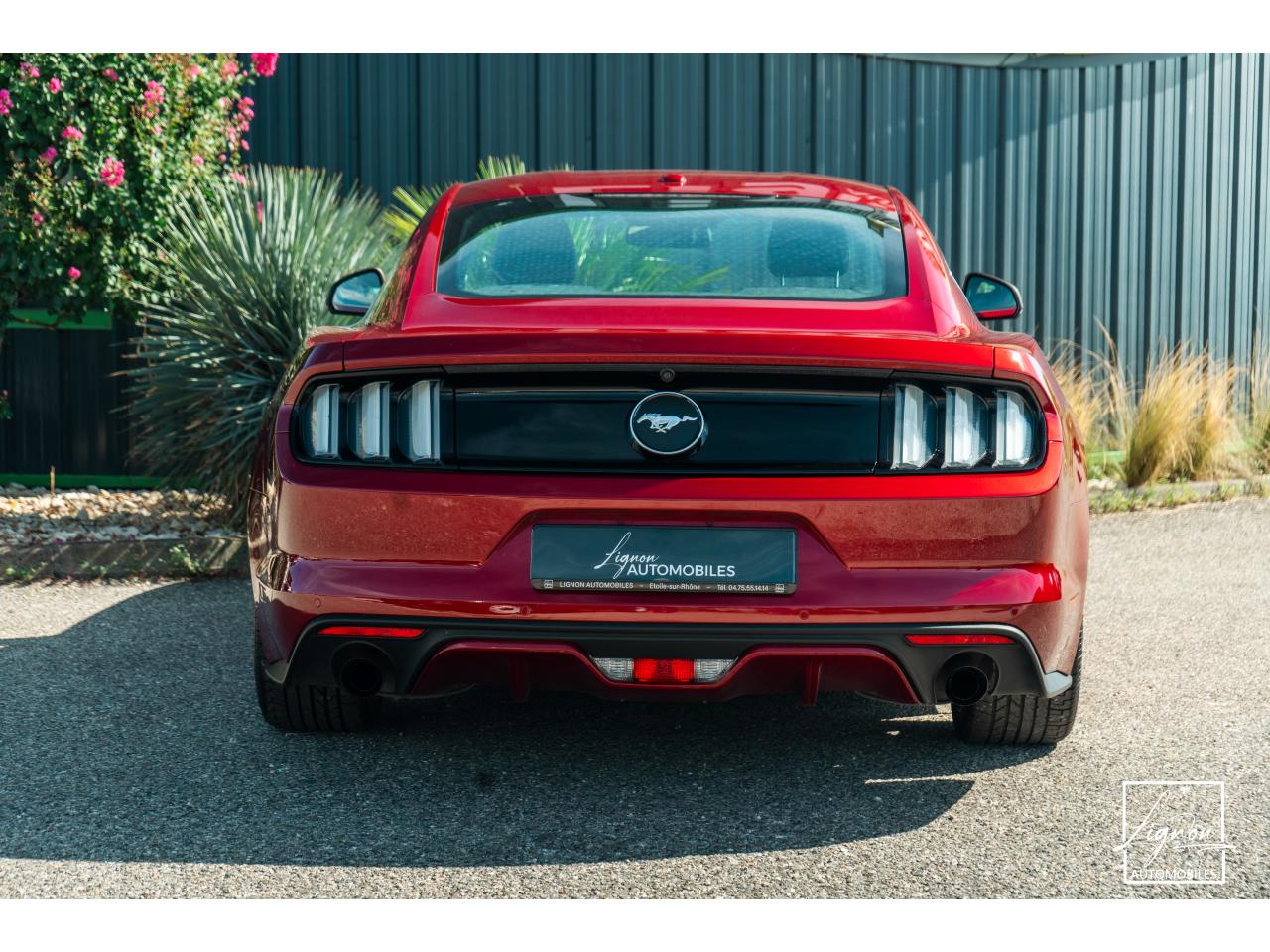 Photo FORD MUSTANG Fastback 2.3 EcoBoost - 317  2017 - Coupé - APPLE CARPLAY - PACK PREMIUM - à partir de 448 euros