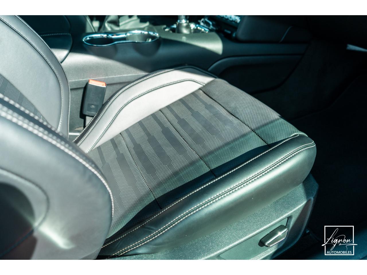 Photo FORD MUSTANG Fastback 2.3 EcoBoost - 317  2017 - Coupé - APPLE CARPLAY - PACK PREMIUM - à partir de 448 euros