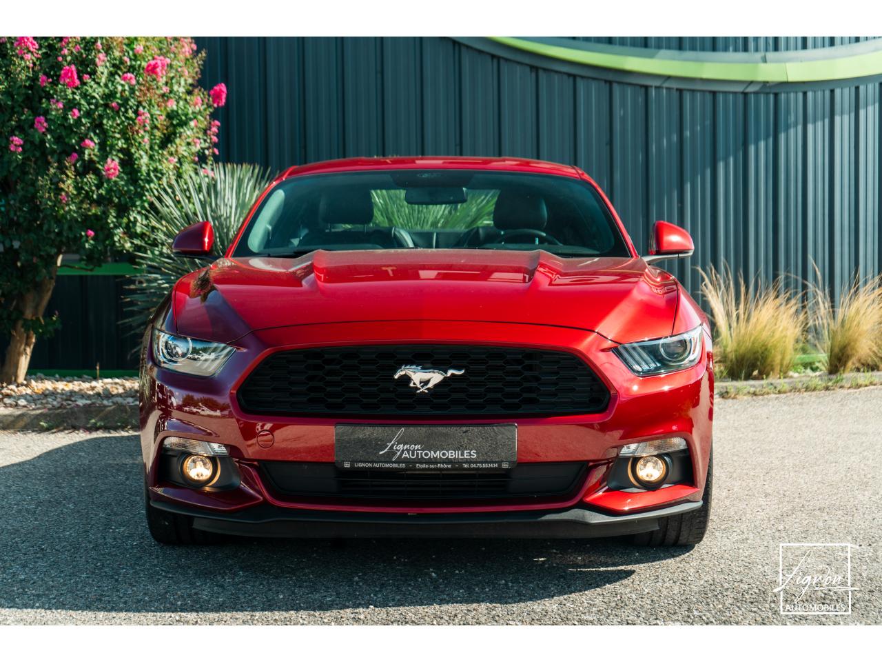 Photo FORD MUSTANG Fastback 2.3 EcoBoost - 317  2017 - Coupé - APPLE CARPLAY - PACK PREMIUM - à partir de 448 euros