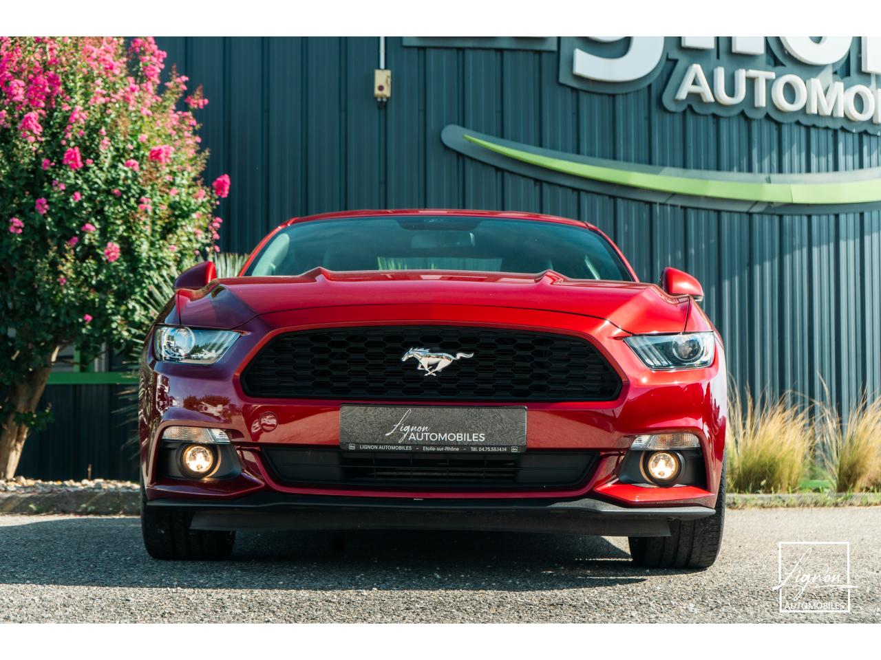 Photo FORD MUSTANG Fastback 2.3 EcoBoost - 317  2017 - Coupé - APPLE CARPLAY - PACK PREMIUM - à partir de 448 euros