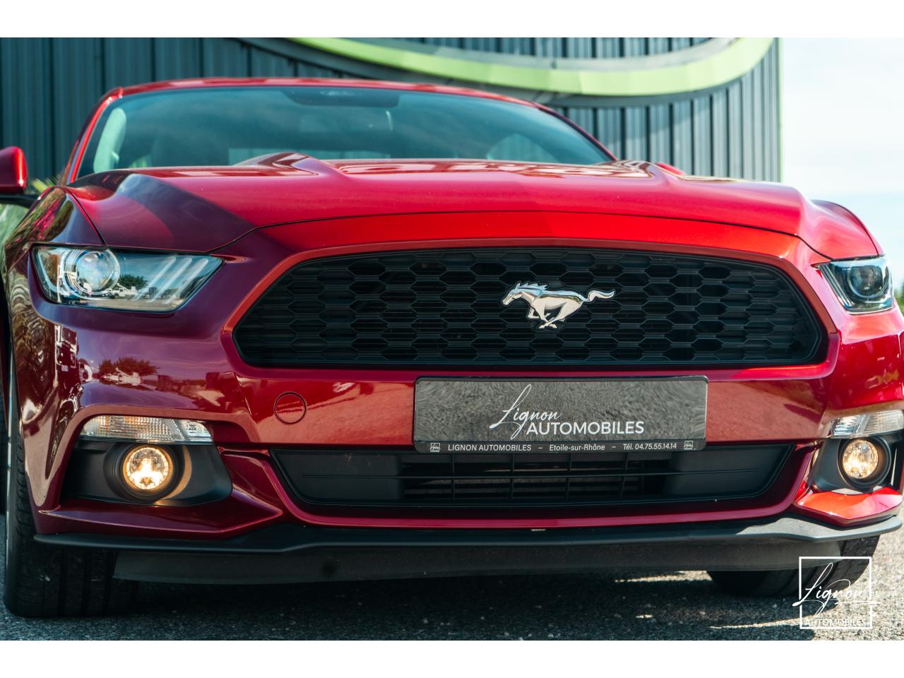 Photo FORD MUSTANG Fastback 2.3 EcoBoost - 317  2017 - Coupé - APPLE CARPLAY - PACK PREMIUM - à partir de 448 euros