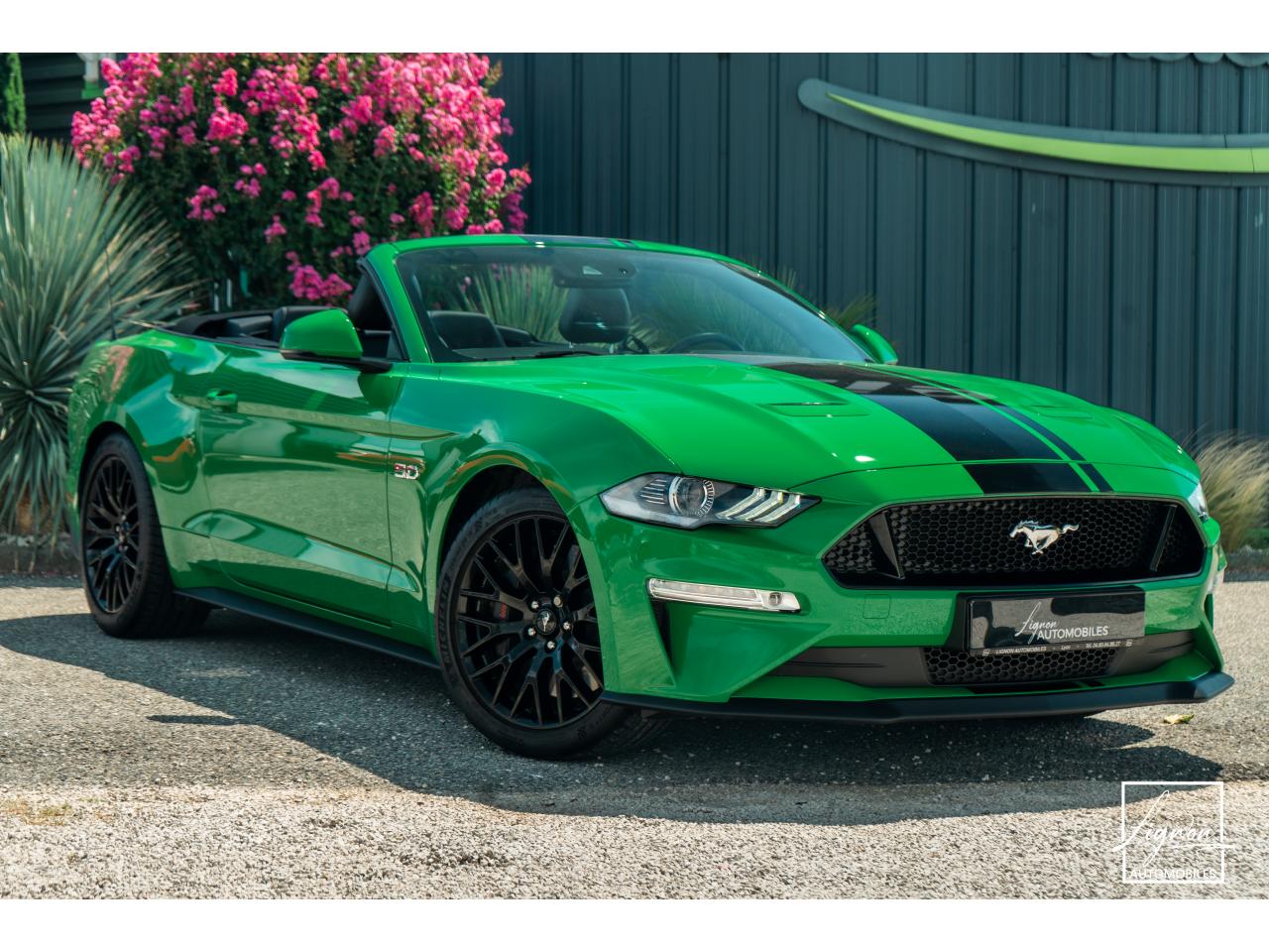 Photo FORD MUSTANG Cabriolet 5.0 V8 - 450 - BVA10  - 1er main - Magneride - Spinel Green