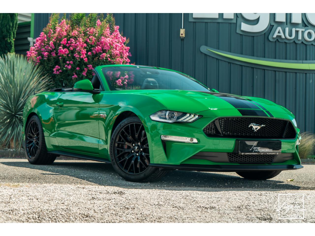 Photo FORD MUSTANG Cabriolet 5.0 V8 - 450 - BVA10  - 1er main - Magneride - Spinel Green
