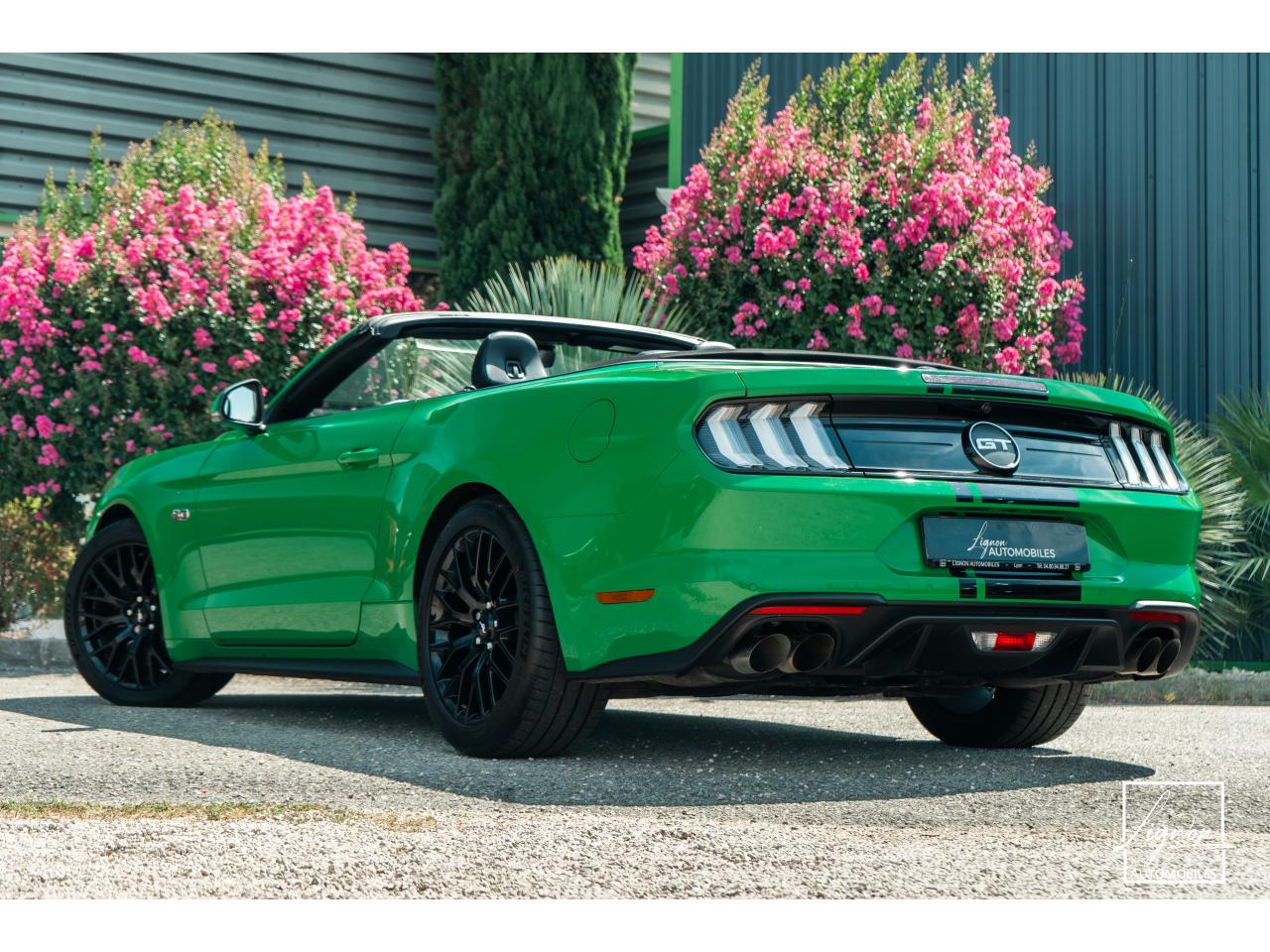 Photo FORD MUSTANG Cabriolet 5.0 V8 - 450 - BVA10  - 1er main - Magneride - Spinel Green