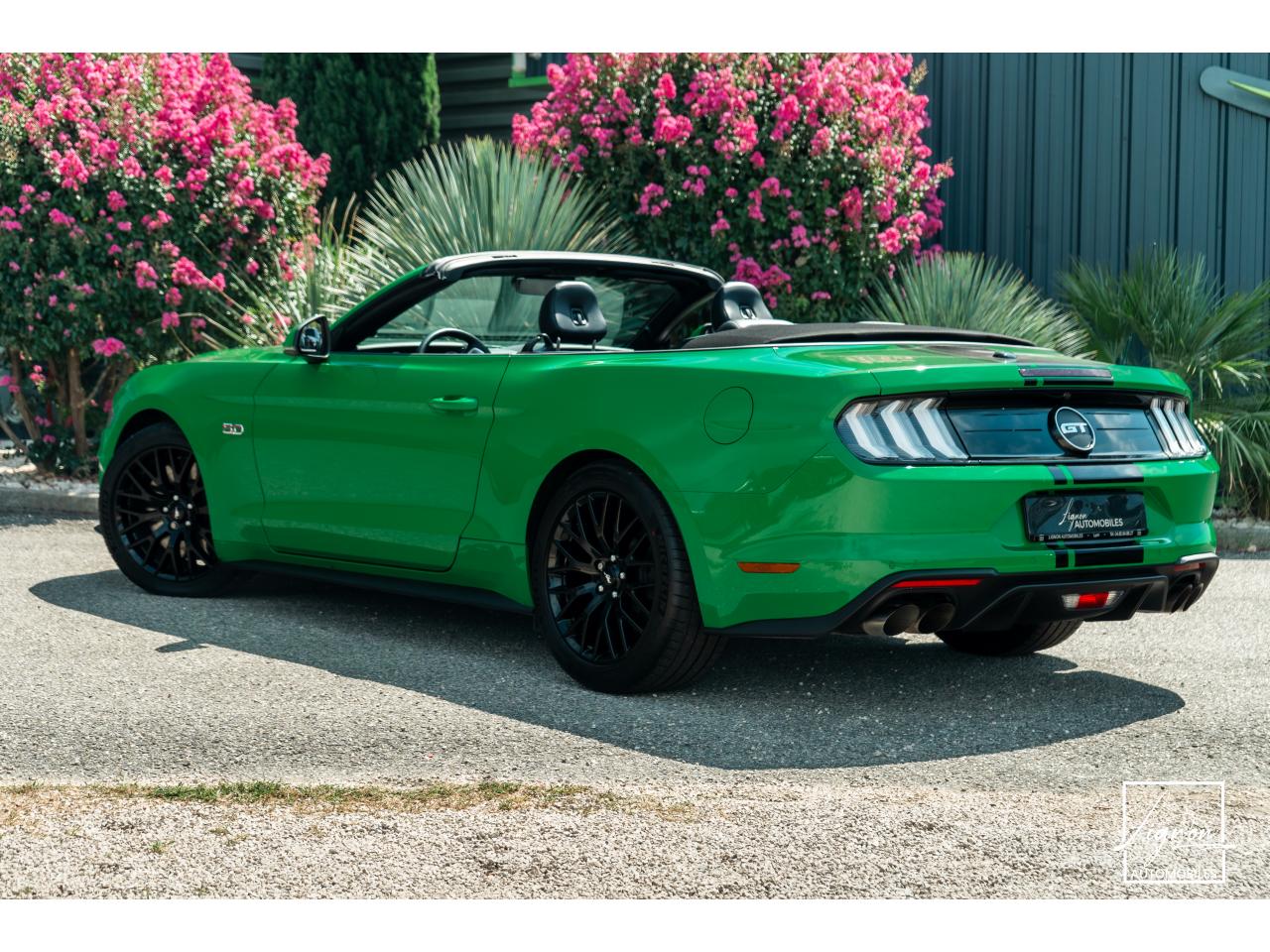 Photo FORD MUSTANG Cabriolet 5.0 V8 - 450 - BVA10  - 1er main - Magneride - Spinel Green