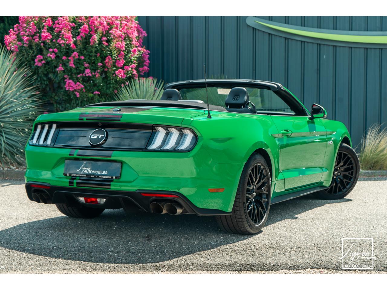 Photo FORD MUSTANG Cabriolet 5.0 V8 - 450 - BVA10  - 1er main - Magneride - Spinel Green