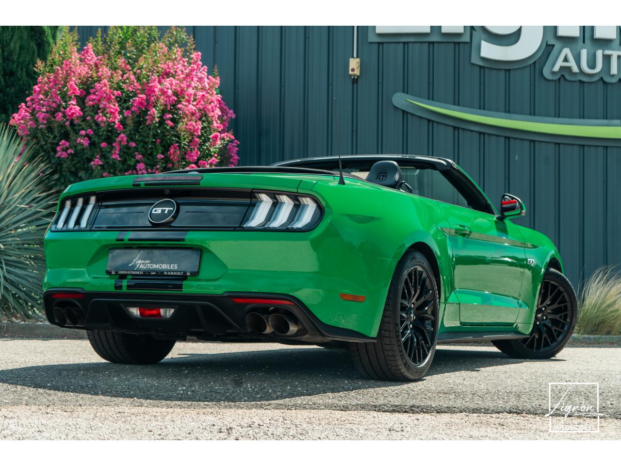 Photo FORD MUSTANG Cabriolet 5.0 V8 - 450 - BVA10  - 1er main - Magneride - Spinel Green